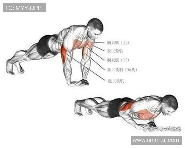 哑铃训练肱三头肌的有效方法与技巧分享